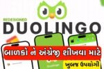 Duolingo App